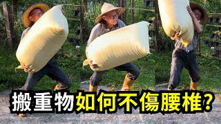 常搬肥料重物傷腰椎，使用電動搬運車省力推，不再腰酸背痛，務農作工更長久，還有農機補助二分之一| 阿星種植