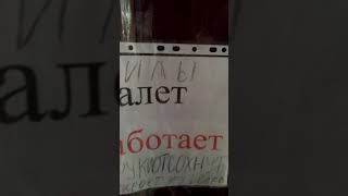 вот что теперь пишут в туалетах