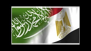 فأر يتوقع فوز المنتخب السعودي على نظيره المصري