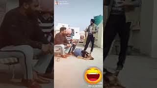 Paper funny Punjabi || tiktok video 😂😂