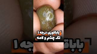 باباقوری درجه ۱ 🔥 تک چشم و لامه 💯 دیسکریپشن حتما مطالعه شود