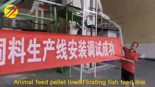 Successfully installed animal feed pellet line and floating fish feed line