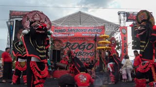 Rampak Barong Jaranan ROGO SAMBOYO PUTRO Live Waung Kota Kediri