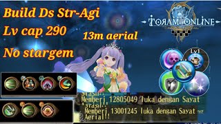 Build Dual Sword Str-Agi lv cap 290 - Toram Online