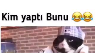 Gülmek den ölüceğniz video