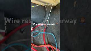 Wire rescue desperately needed for client