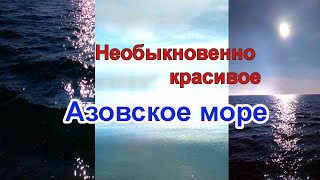 Азовское море, январь 2024 #море