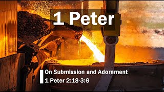 On Submission and Adornment (1 Peter 2:18-3:6)