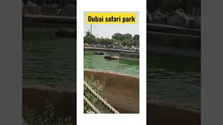 Explore dubai/Dubai safari park/wild life UAE