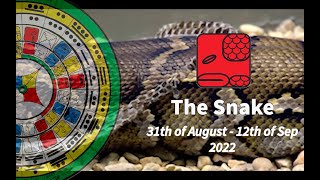 The Snake of the 13 days cycle of the Mayan Calendar 2022