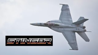 Stinger: F/A-18 Super Hornet [Rhino]