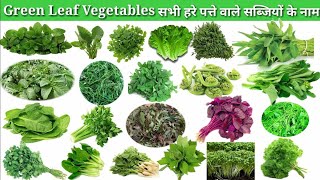 Green Vegetables Names In English Vocabulary |Green Vegetables Names With Pictures | हरी सब्जियो