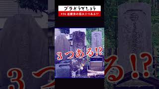 【衝撃】新選組 近藤勇の墓は３つある!? ブラどうでしょう #36予告 #Shorts