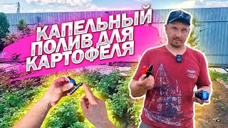 Устанавливаем КАПЕЛЬНЫЙ ПОЛИВ на грядки с картофелем! Полный процесс.