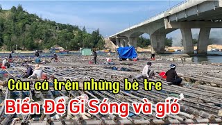 Bãi Biển Đề Gi Trong Ngày Ảnh Hưởng Áp Thấp Nhiệt Đới | Câu cá trên những bè tre #beach