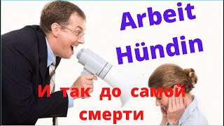 Работать нужно на себя.