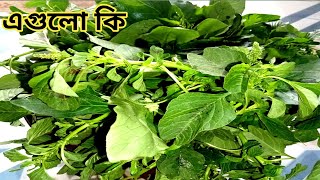 পাঁচ মিশালি শাক রান্না রেসিপি। pass micheli Shak ranna recipe. G ranna recipe