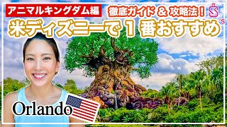 【アメリカディズニー】ここぞ唯一無二のパーク！アニマルキングダムの回り方、アトラクション、フード、攻略法など