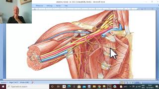 Musculo-skeletal Module I in Arabic  36 ( Axillary Artery , part 3  ) , by Dr. Wahdan 2022