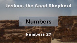 Joshua, the Good Shepherd (Numbers 27)