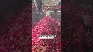 Mira datar dargah Urs stetus|whatsapp qawwali status|2024new qawwali|Famous qawwali|mira data