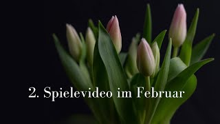 2.Spielevideo im Februar