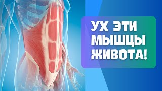 Включи косые мышцы живота