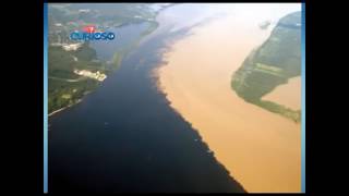 você sabe por que o rio negro e Solimões. Não se mistura veja