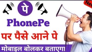 Phone Pe Voice Notification Kaise Chalu Kare || How To Enable Phone Pe Voice Alert