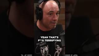 Joe Rogan: "UFC/MMA is not just a business to Khabib." 🔥 #UFC229