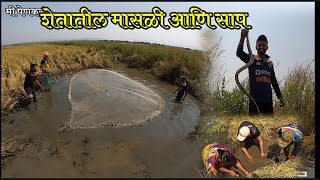 शेतातील तळ्यात पकडले शिवरे,वरशी मासे 🐟आणि पागात आला मोठा साप 😂#villagefishing#kokanimasemari