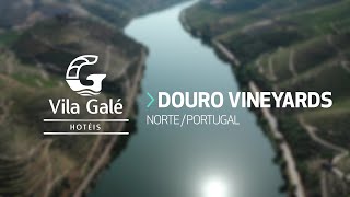 Hotel Vila Galé Douro Vineyards