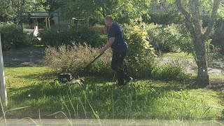 Very Long Grass Mowing