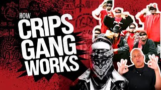 How The Crips Gang Actually Works  How Crime Works  Insider