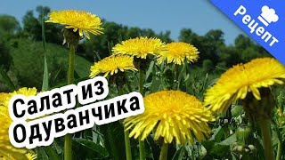 САЛАТ из ОДУВАНЧИКА! #Рецепт !