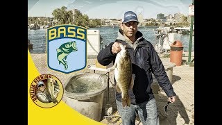 Tournament Fishing for Beginners - Should You Join a Bass Club? (2018)