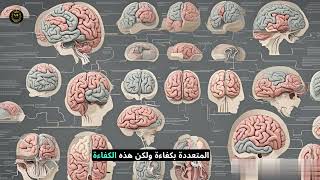 اكثر ١٠ معلومات مدهشة عن العقل البشري