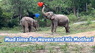 Another Day Haven and His Mother Were Having Fun Playing In The Mud!