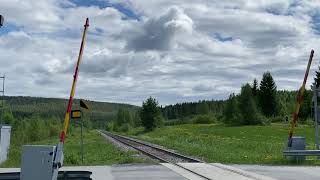 |VR Transpoint| empty timber train T 4707 (Plt → Ptk) climbing uphill at Kohtavaara.