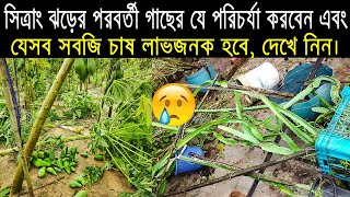 ঘূর্ণিঝড় সিত্রাং পরবর্তী ফসলের ও ছাদ বাগানের পরিচর্যা, এই সময় লাভজনক সবজি চাষ।