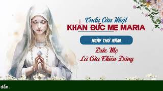 🔴 Khấn Đức Mẹ | 13/11/2024 | Ngày Thứ Năm: Đức Mẹ Là Cửa Thiên Đàng