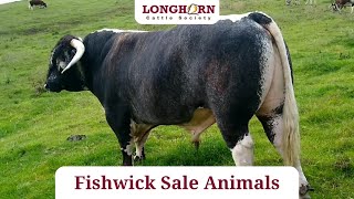 Longhorn Society Sale 2022 - Fishwick Longhorns