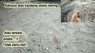 Rahasia alas kandang selalu kering