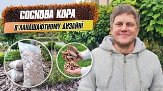 Соснова кора для мульчування та для ландшафтного дизайну. Дві фракції кори сосни.