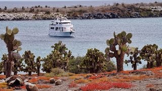 Animals of the Southern Galapagos - Our 5 Day Crui