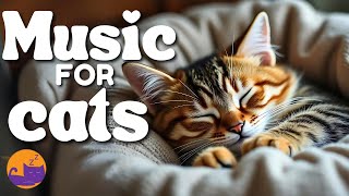 MAGIC MUSIC FOR CATS - Expert Made Melodies for Anxiety in Cats 🐱💤