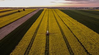 || Wieczorne opryski na płatek z lotu ptaka || Wiosna 2020 Rzepak || Ursus || Zetor