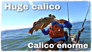 PESCA EN KAYAK- Calico ENORME/ HUGE calico. ENG SUBTITLES