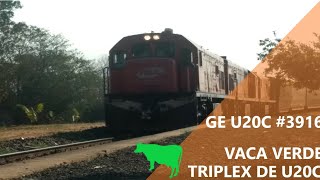 Trem de celulose "vaca verde" carregado passando por Tibiriça e Val de Palmas(JVP)-SP.