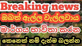 breaking news today | ella wellawaya road | sri lanka news today | hiru news today | you with you